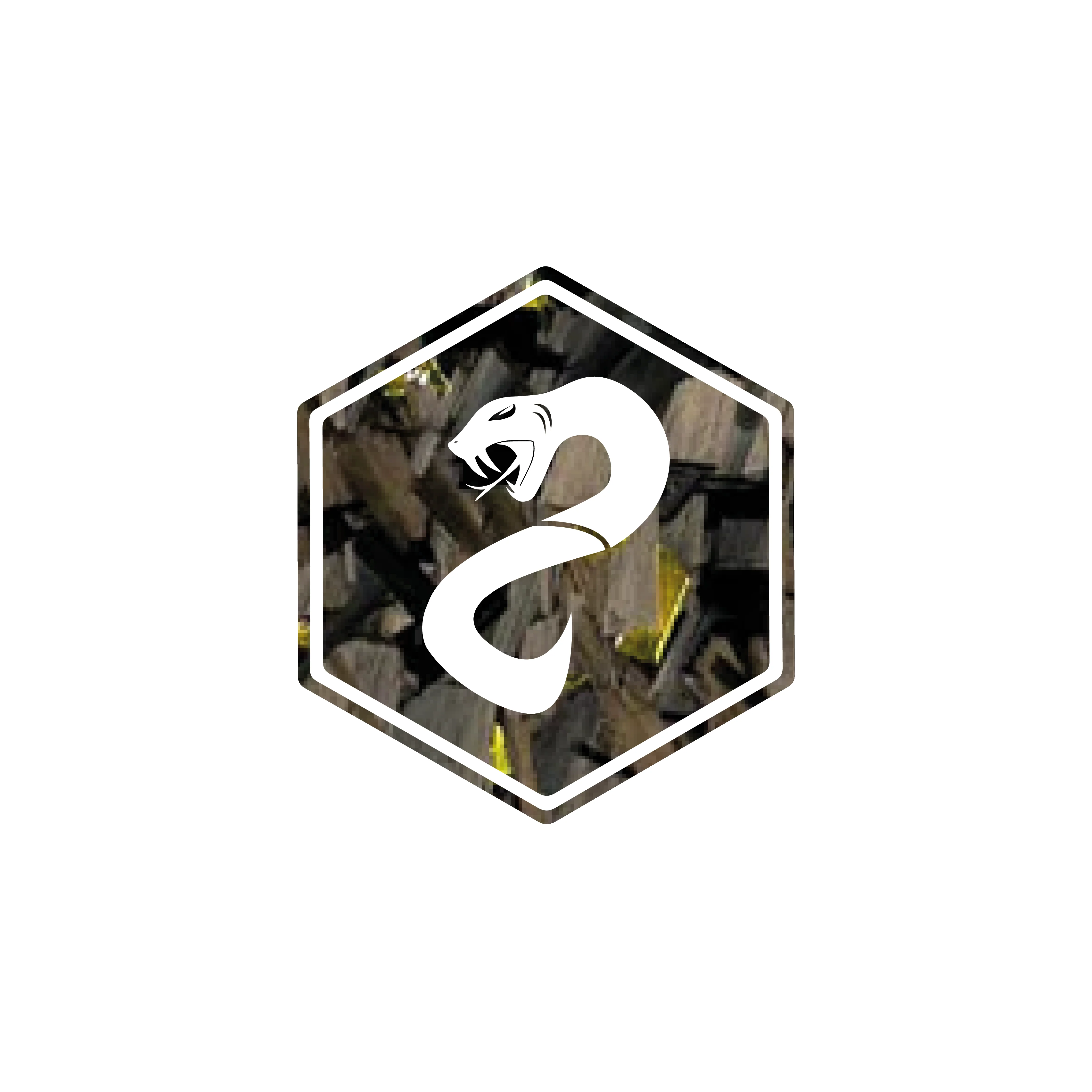 Miniatuur 5