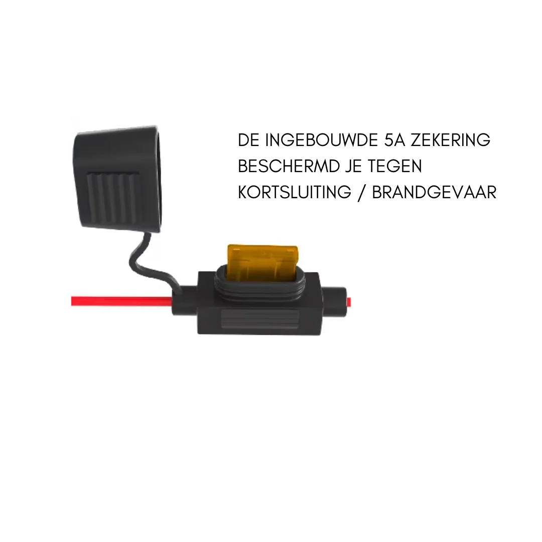Miniatuur 3